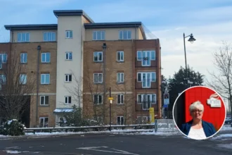 Dagenham MP Mullane Ends Rainham Rat Infestation Crisis