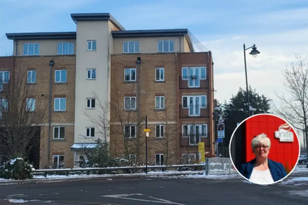 Dagenham MP Mullane Ends Rainham Rat Infestation Crisis