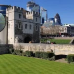 Hackney Resident's Meatball Fox Rescue Sparks Bond Hackney 2026