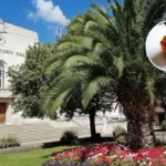 Hackney SEND Inspection Reveals Inconsistent Outcomes 2026