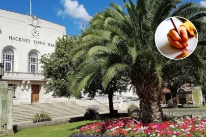 Hackney SEND Inspection Reveals Inconsistent Outcomes 2026