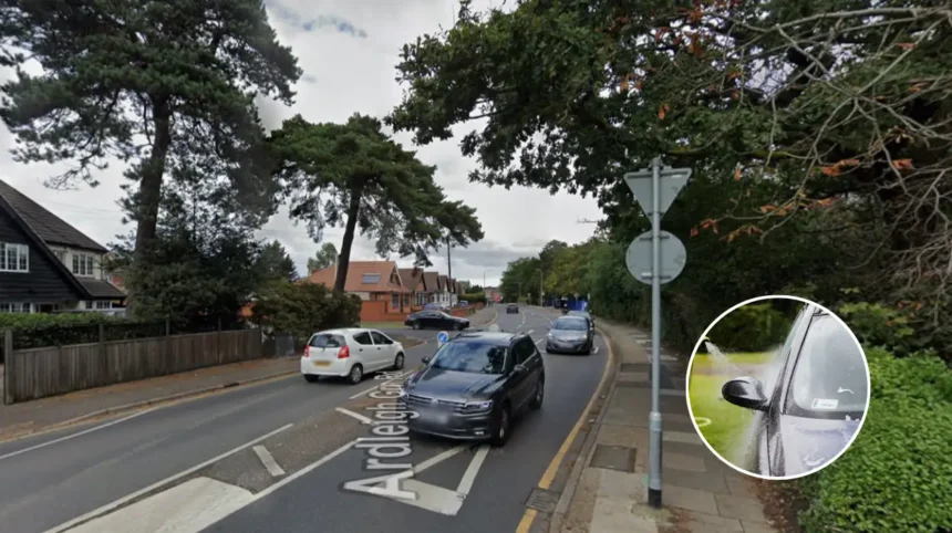 Havering Council Hits Hornchurch HMOs, Car Wash with Jan 2026 Notices