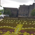 Havering Green Belt Grey Rebrand Threatens Wildlife Havering 2026