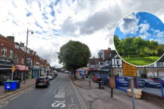 Havering Green Belt Trees Under Threat 2026