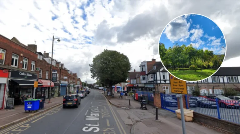 Havering Green Belt Trees Under Threat 2026