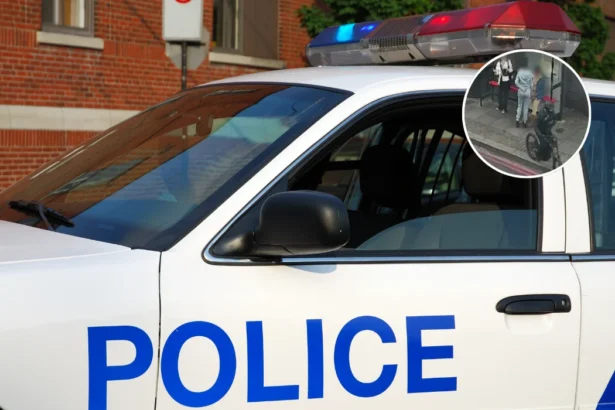 Metropolitan Police crackdown cuts phone theft by 10,000