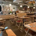 New year, new tables, four East London restaurants opening this February