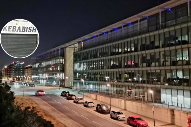 Newham Council Approves Plaistow's Green Gate Kebabish 5am Licence 2026