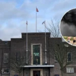 Rainham Volcano: Council Hinders Cleanup 2026 