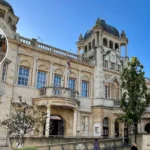 Redbridge Council Launches Rapid Response Clean Team for Streets