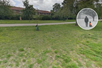 Romford Man Charged: Toddler Dog Attack 2026