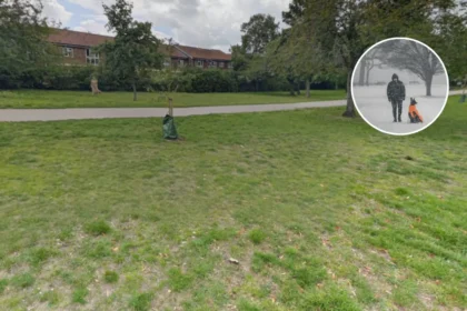 Romford Man Charged: Toddler Dog Attack 2026