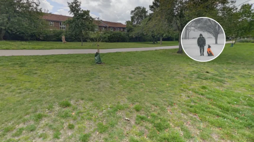 Romford Man Charged: Toddler Dog Attack 2026