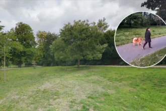 Romford Raphael Park: Girl, 2, Hurt in Dog Attack