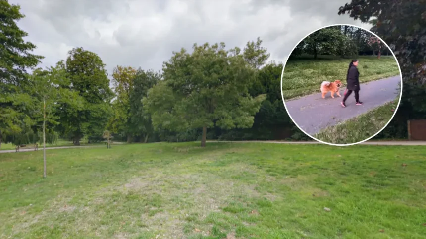 Romford Raphael Park: Girl, 2, Hurt in Dog Attack