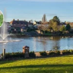 Romford Raphael Park: Rottweilers Seize After Toddler Attack