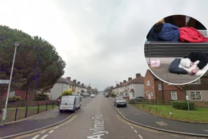 Social Spider Launches Barking and Dagenham Star After Unpublished LDRS Stories