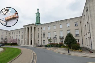 Waltham Forest Council Tax Rises 4.99% with £19m Loan 2026