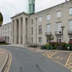 Waltham Forest Free Wildflower Seed Giveaway Walthamstow 2026