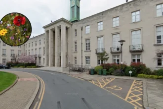 Waltham Forest Free Wildflower Seed Giveaway Walthamstow 2026