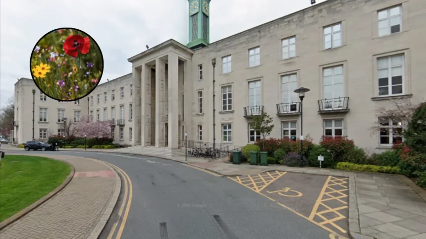 Waltham Forest Free Wildflower Seed Giveaway Walthamstow 2026