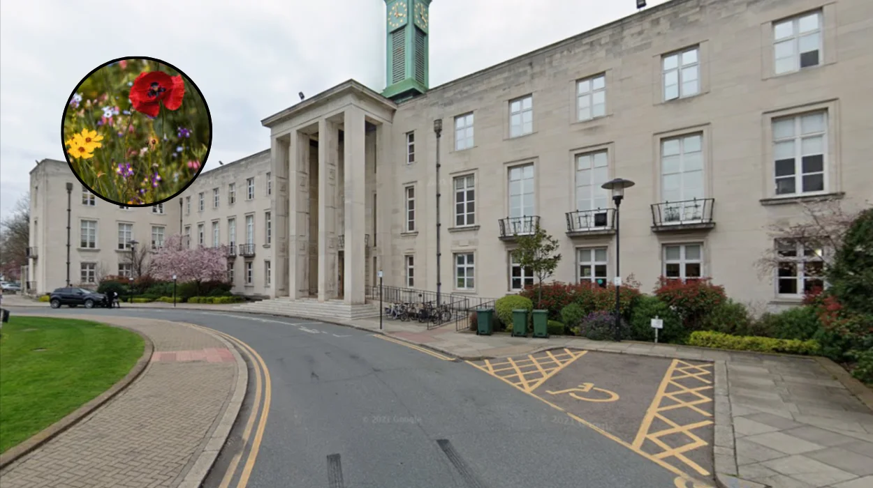 Waltham Forest Free Wildflower Seed Giveaway Walthamstow 2026