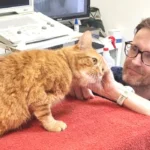 East London Charity Vet To Pound The City’s Streets To Raise Funds To Help Animals In Need