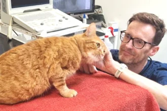 East London Charity Vet To Pound The City’s Streets To Raise Funds To Help Animals In Need