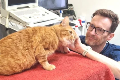 East London Charity Vet To Pound The City’s Streets To Raise Funds To Help Animals In Need