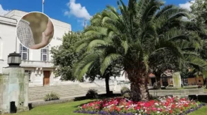 Hackney Council Ignores Autistic Child Safety in Housing 2026