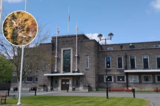 Havering Dump Fires Snubbed by Defra - Rainham 2026