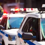 Havering Police Tool Marking Event Unites Community Against Crime, Hylands 2026