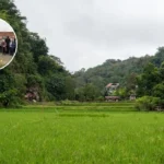 Havering Well Garden Village Green Romford 2026