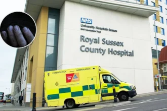 Hospital Trust Police Probe Mental Health Patient Death Tower Hamlets 2026