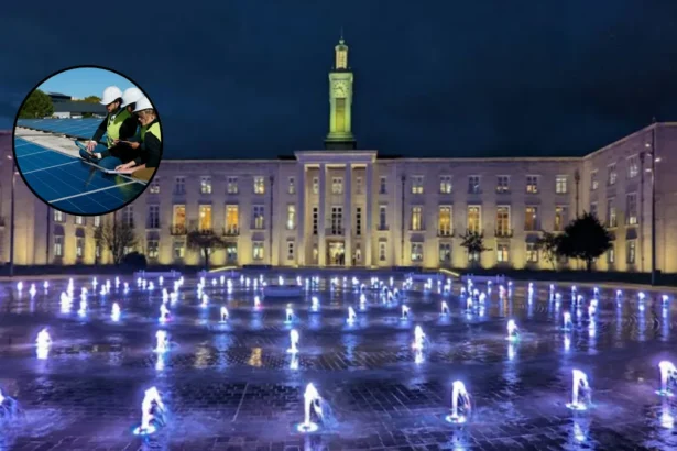 Major Solar Upgrade Planned for New Spitalfields Market, Leyton 2026