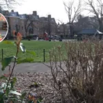 Molly Russell's Vibrant Hackney Home: Block Prints Galore in Clapton 2026