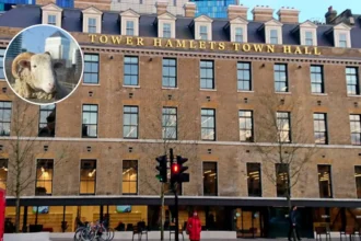 Mudchute Farm 30-Year Lease Tower Hamlets 2026