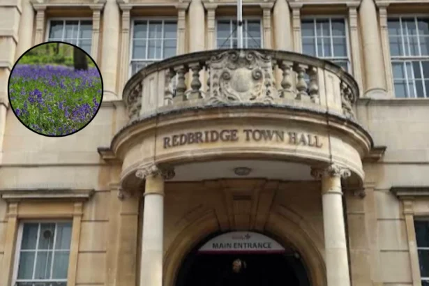 Redbridge Council Launches Nature Emergency Action Plan Workshop 2026