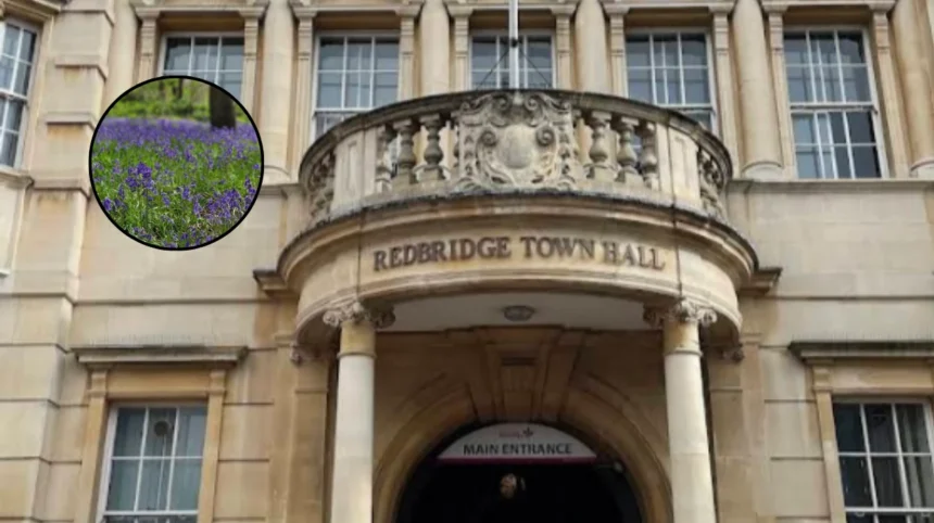 Redbridge Council Launches Nature Emergency Action Plan Workshop 2026