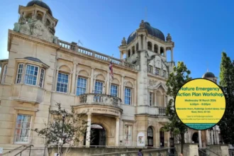 Redbridge Council Workshop After Nature Emergency Call, Redbridge 2026