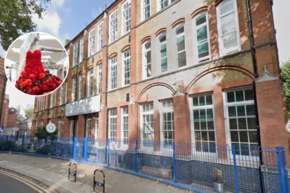 Tower Hamlets Pupils Win Flower Market Design Contest 2026