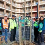 26 UK Towns & Cities Named Tree Cities of the World 2025