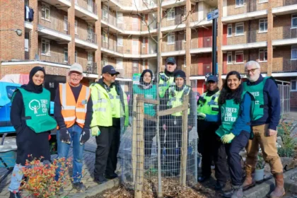 26 UK Towns & Cities Named Tree Cities of the World 2025
