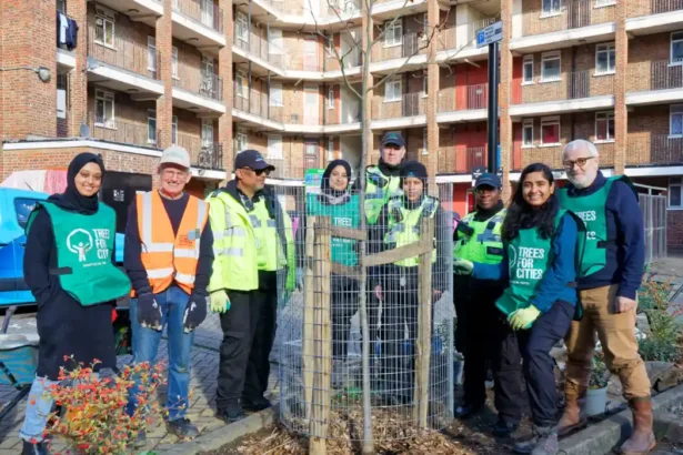26 UK Towns & Cities Named Tree Cities of the World 2025