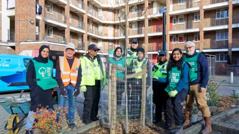 26 UK Towns & Cities Named Tree Cities of the World 2025