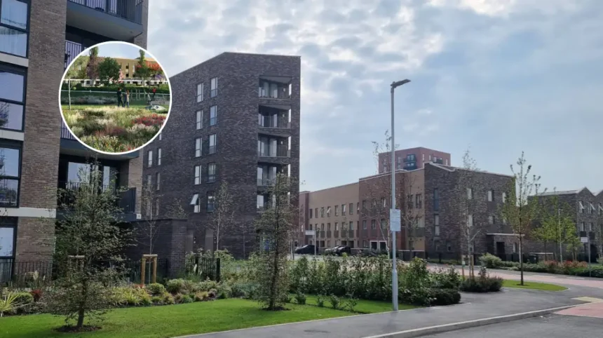 Beam Park Station Govt Boost 2026