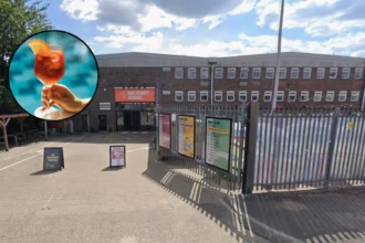 Big Penny Beach Club Returns to Walthamstow 2026