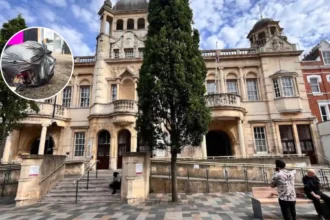 Chaat N Grill Fined £3,845 for Ilford Fly-Tipping Ilford 2026