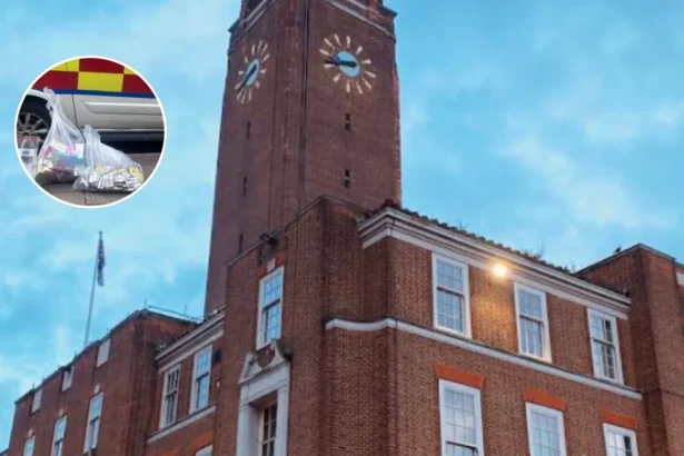 Dagenham Trading Standards Seizes Illicit Tobacco, Vapes in Police Raid; Dagenham 2026