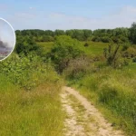 First Rainham Grass Fire Sparks Havering Fire Crisis; Rainham, 2026